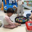 행꼬(행복한 꼬마 거북이) 이미지