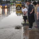 안양천로(목5동 목동교) 이미지