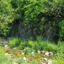 박영태농장 이미지