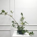 동양장식 - 중구 병영로 8 | 동양장식
