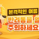 애니온동물병원 이미지