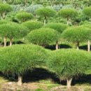 해찬농원 이미지