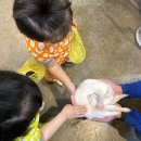 쥬니멀 | 쥬니멀 동물원 방문 후기, 아이와 청주실내동물원 가기 괜찮았던 이유