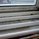 중앙대로-2 이미지