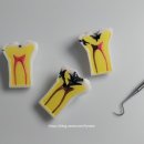 하양라온치과의원 이미지