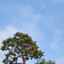 송대민박 | 마을#보존회#다듬이#그네#서민층가옥#하서원#농촌체험민박운영사무실#견재고택#처마메주#돌담사이길#연...