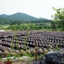 한우와 된장 이미지