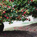 개울건너 스테이 이미지