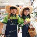 잠실농장 이미지