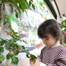 친환경녹색어린이집 이미지