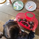 원평리 | 화성 아이랑 가볼 만한 곳 은하수농원&amp;아열대마을 농장체험 예약 주차 후기