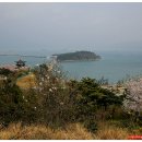 여수의 봄 Daum카페