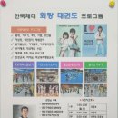한국체대화랑태권도 이미지