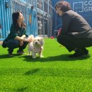 멍그라운드 이미지