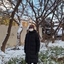 네마지기 이미지