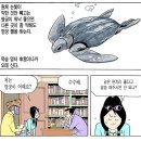 명궁 이미지