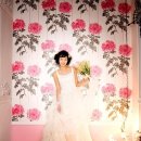 나비야 스튜디오 이미지