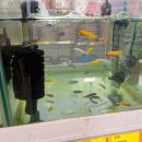 중랑식자재 이미지