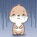 요가수업 이미지