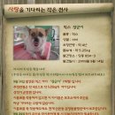당동3 Daum카페