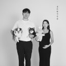 솔바람사진관 이미지
