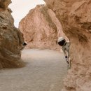 금성환경 이미지