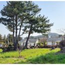 제주스카이라인휴양펜션 이미지