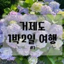 에이플러스팜 이미지