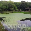 지슬1리 이미지