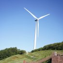 서동로8길 | 강아지랑 강원도 평창 육백마지기 / 정선 나전역카페 및 계곡 여행