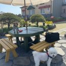 조이블루하우스 이미지