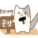 쌍따봉 닭도리 이미지