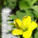 (주)그림통