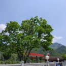 김삿갓휴게소 이미지