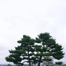 디엠제트박물관 야외화장실(주차장) | 익산 왕궁리유적 역사여행 백제왕궁박물관 무료관람 체험활동 후기