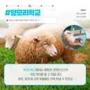 남해-206 이미지