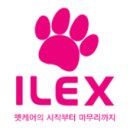 펫샤워 이미지
