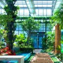 미리내팬션 이미지