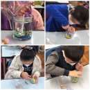 몰운대초등학교 이미지