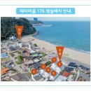 테라머뭄 이미지