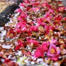 버스정류소_세천동 이미지