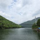 연하엽구름다리 이미지