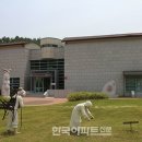 참청정 Daum카페