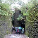 일출랜드식물원 이미지