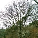 가섭사 - 1541 | 가섭사
