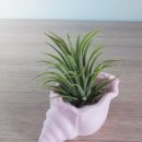 친환경 식물로 소품만들기 이미지