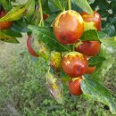 김종운농장 이미지