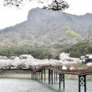 힐링관광지 주차장 이미지