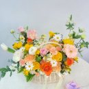 중앙동297 이미지