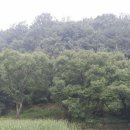 고지소류지 이미지